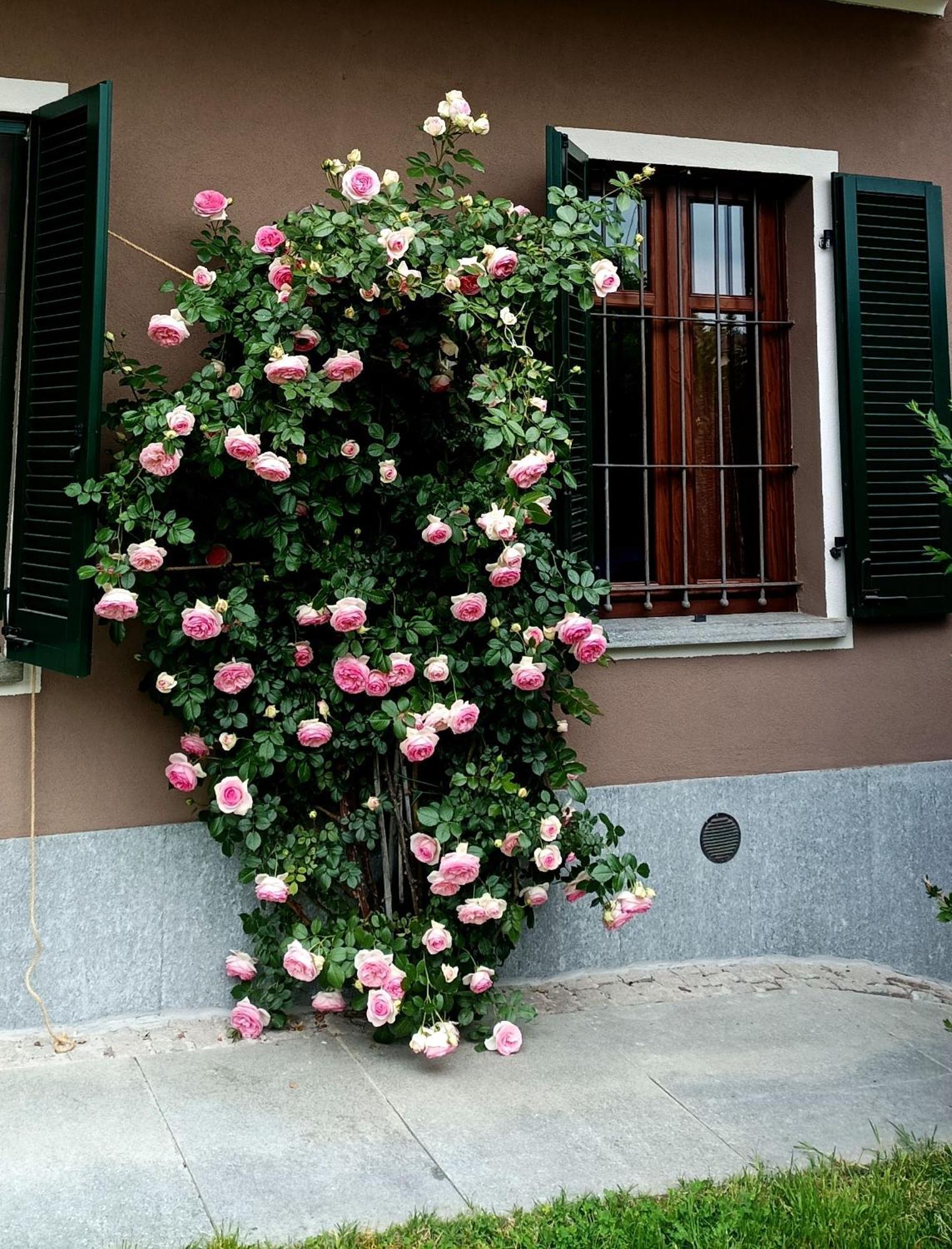 Scapa Da Ca' Apartment Alba  Exterior photo